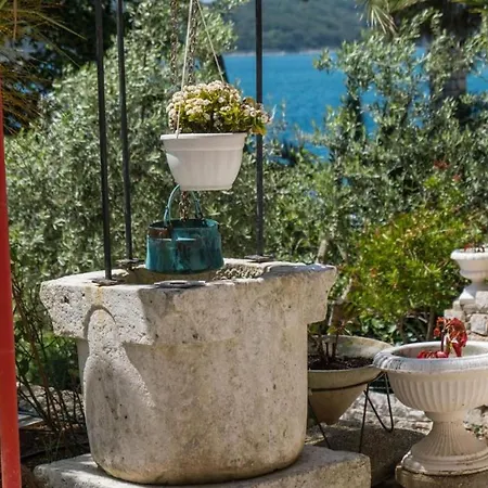 Apartamento Magnolia