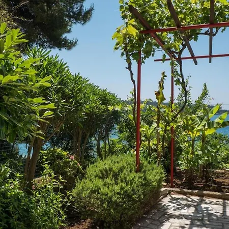 Apartamento Magnolia